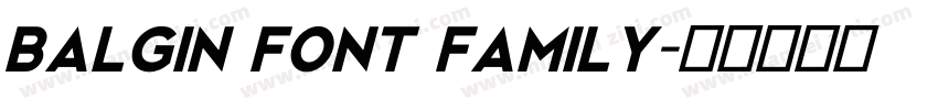 balgin font family字体转换